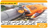 چهارمین مرحله طرح ضربتی مبارزه با جانوران موذی در سطح شهر
